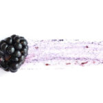 fresh vegetables to reduce food waste