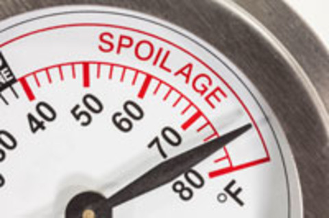 Which Hot Held Food Is In The Temperature Danger Zone?